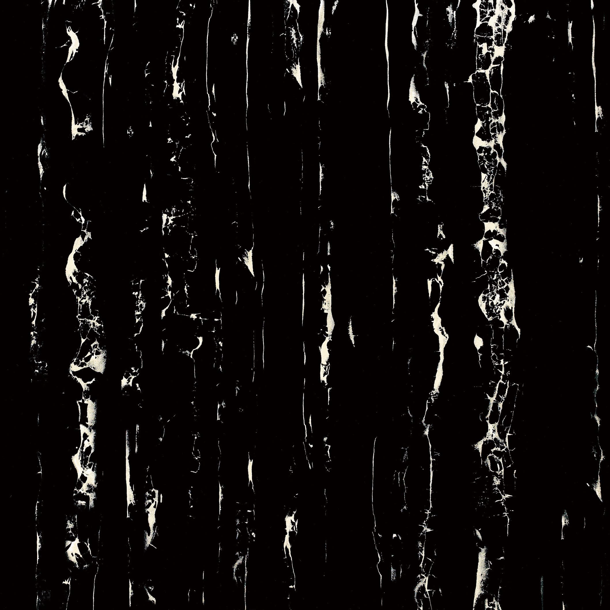 Obsidian Black slab 80 X 80 CM | 60 X 60 CM 1