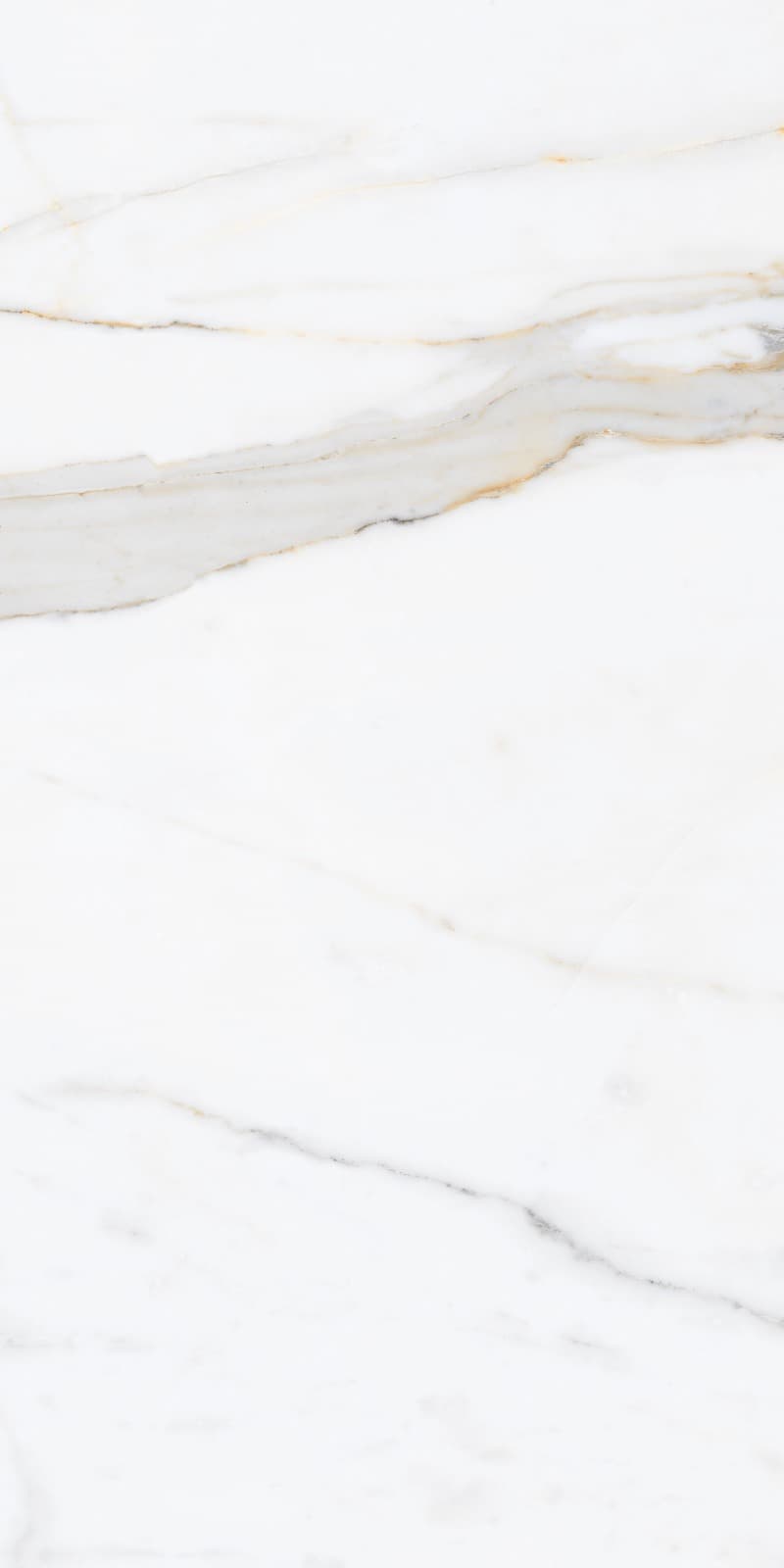 Calcutta Gold slab 60 X 120 CM 1
