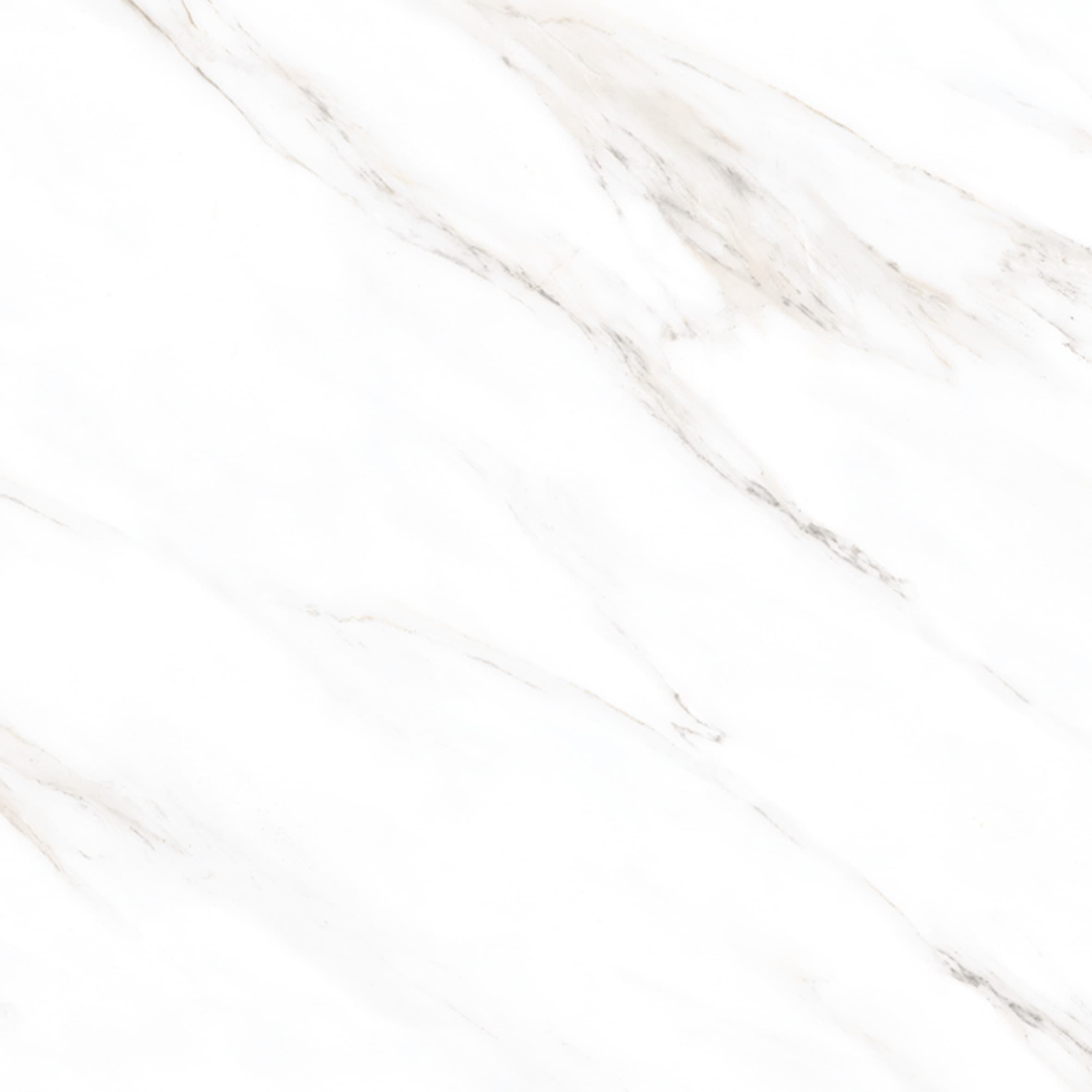 White Cloud - 1