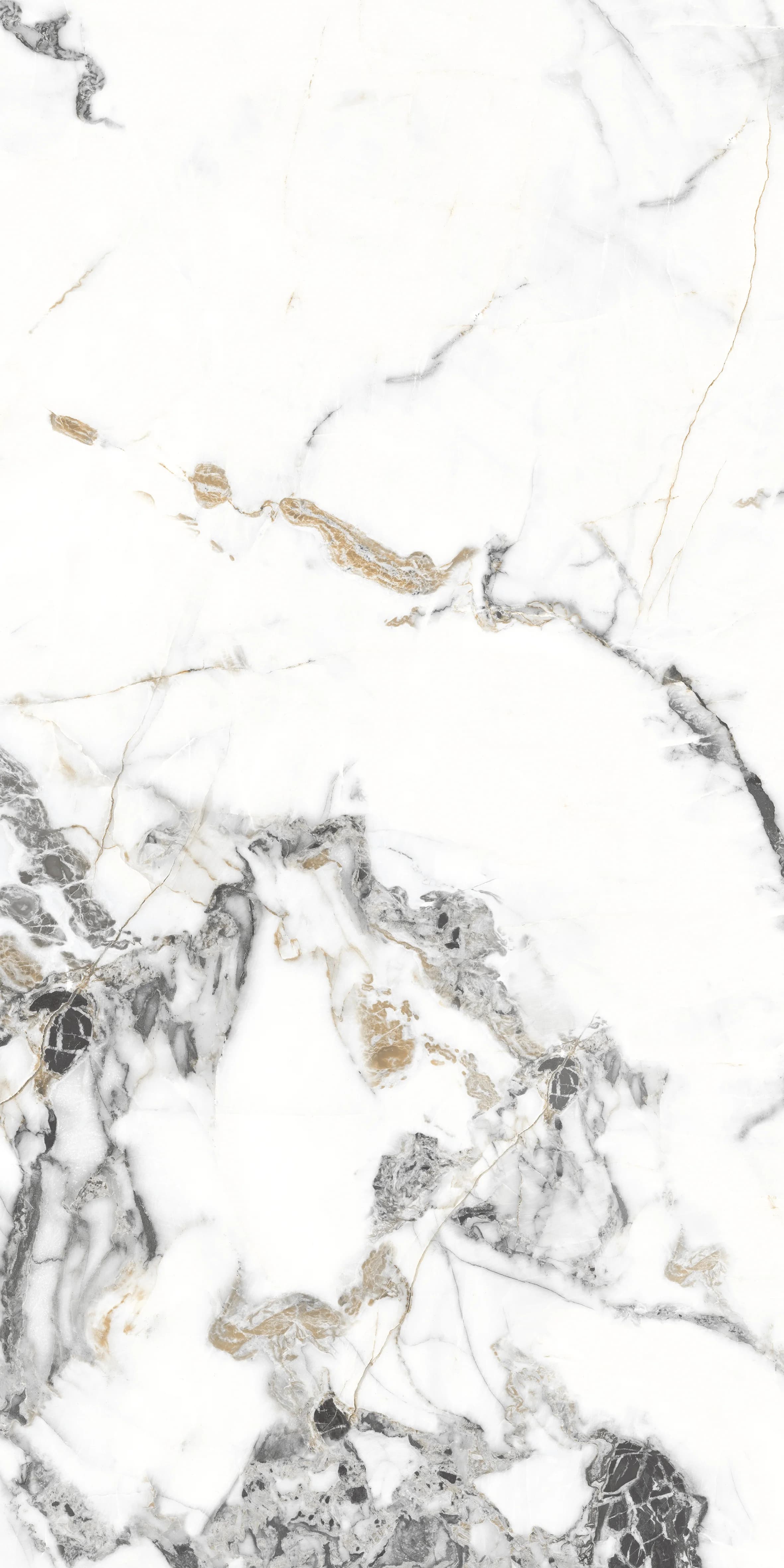 Tiziano Bianco slab 60 X 120 CM 2