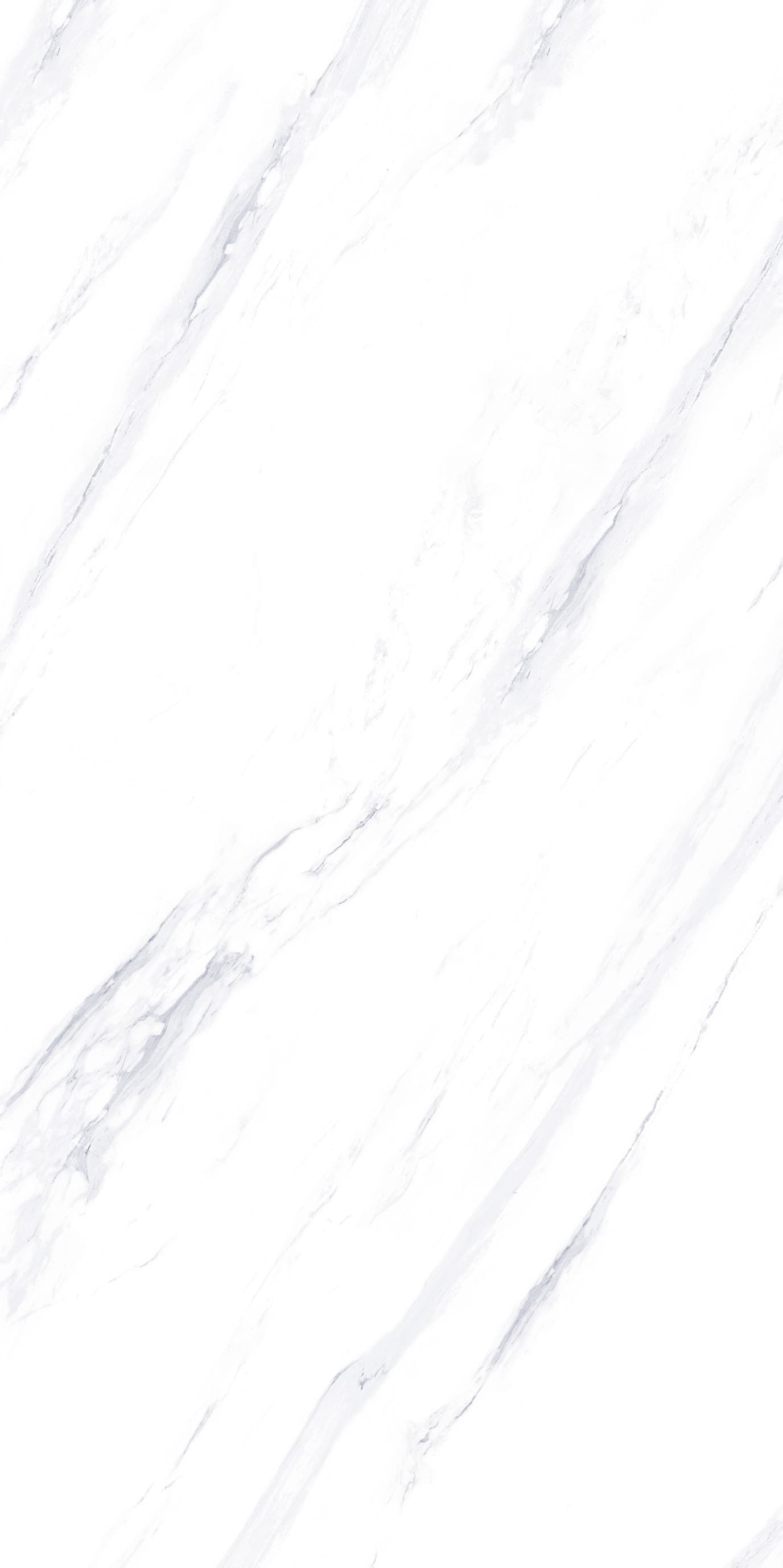 Bologna White slab 60 X 120 CM 3