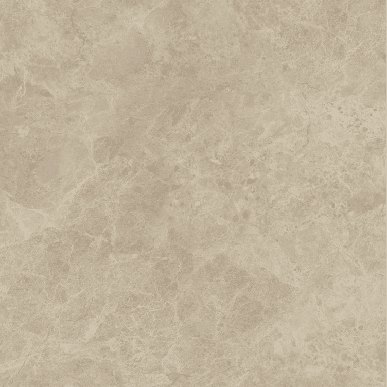 Terra Beige slab 60 X 60 CM 5