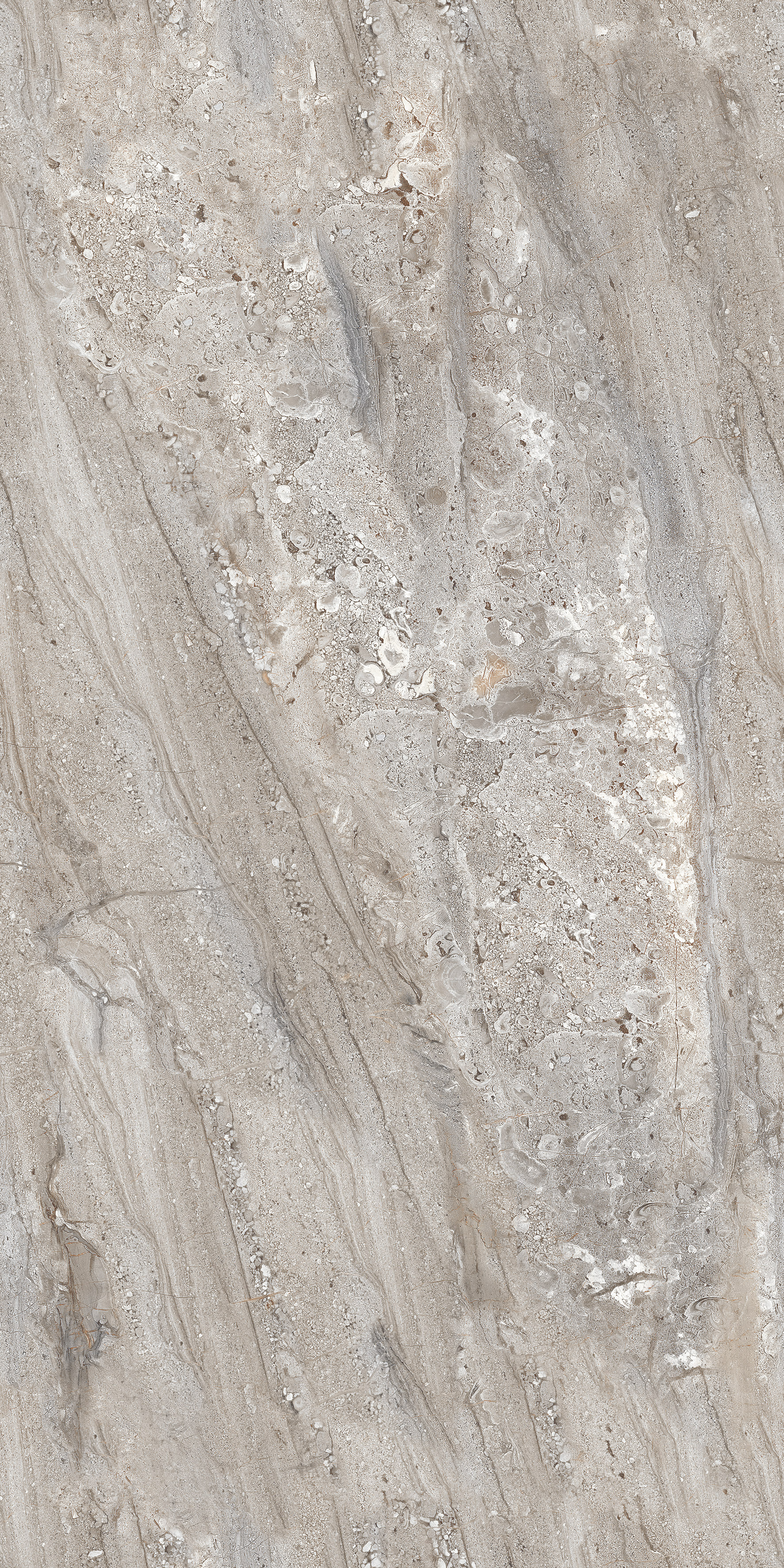 Gobi Grey slab 60 X 120 CM 5
