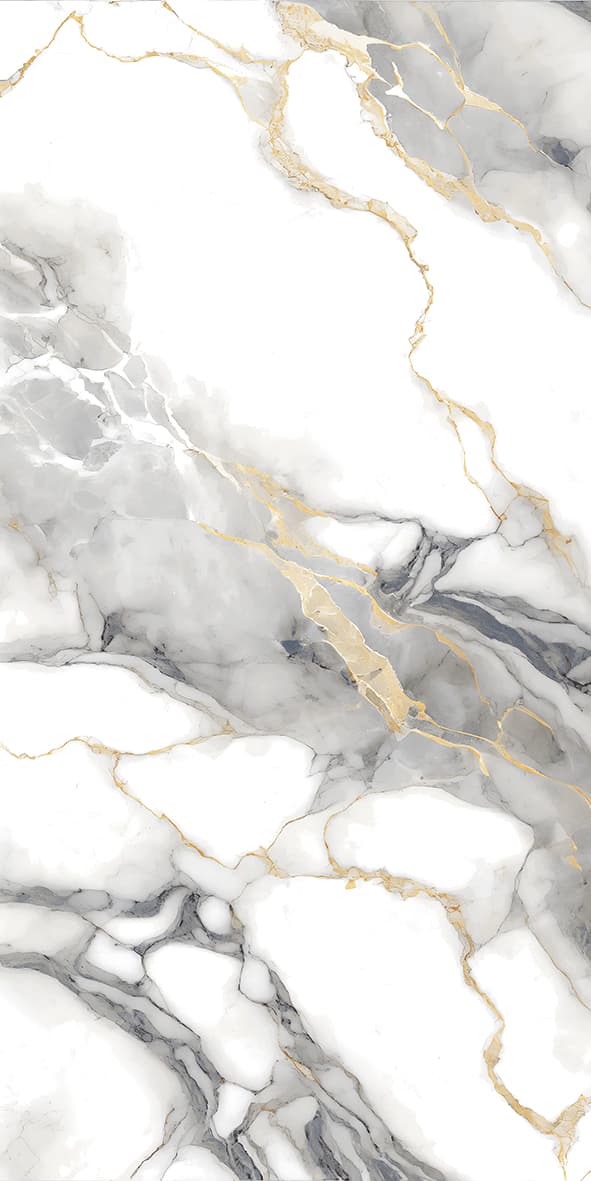 Cosmo Bianco slab 60 X 120 CM 2