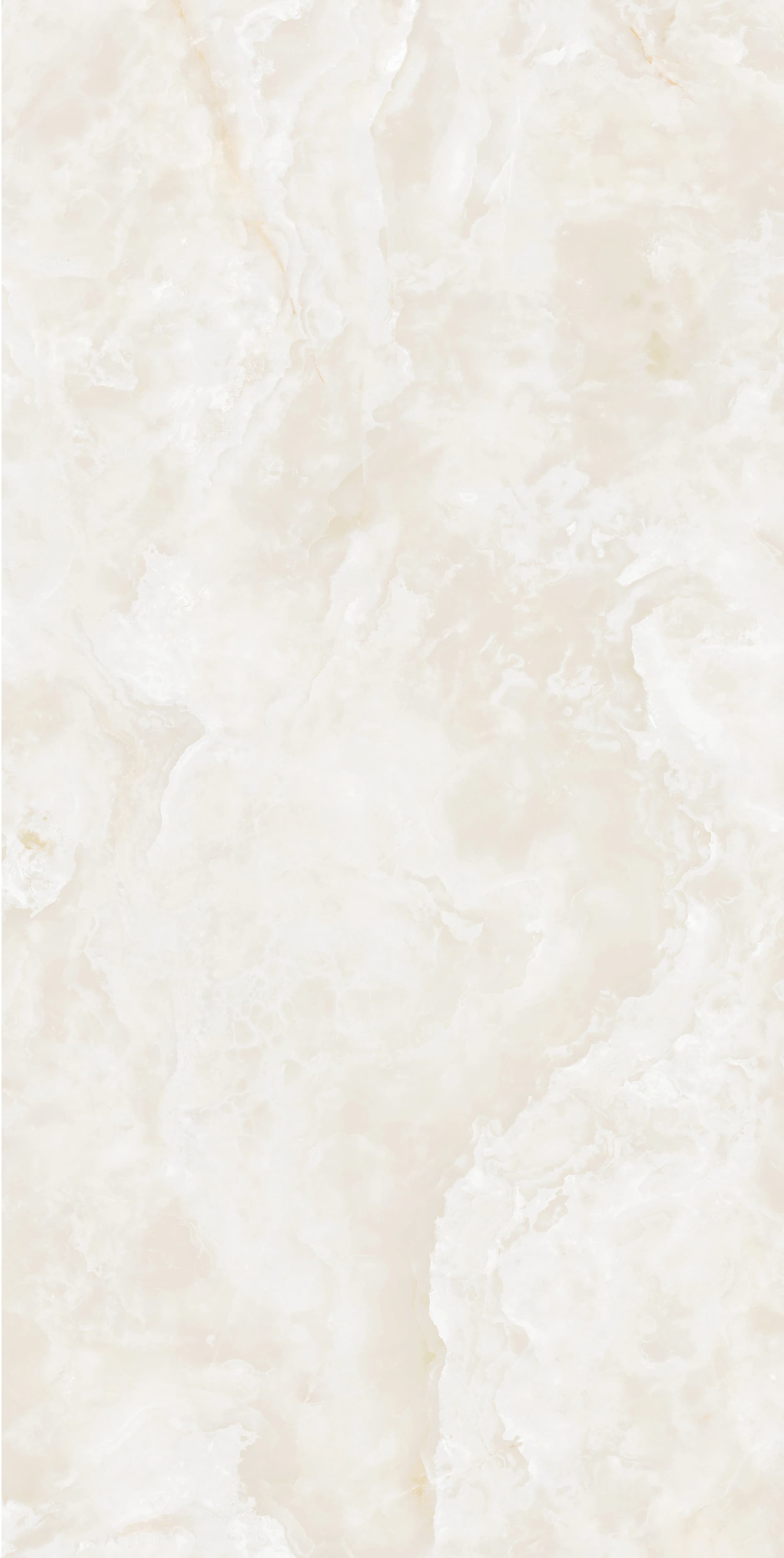 Cortina Bianco slab 240 X 120 CM 3