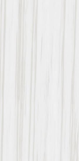Bianco Andes slab 60 X 120 CM 4