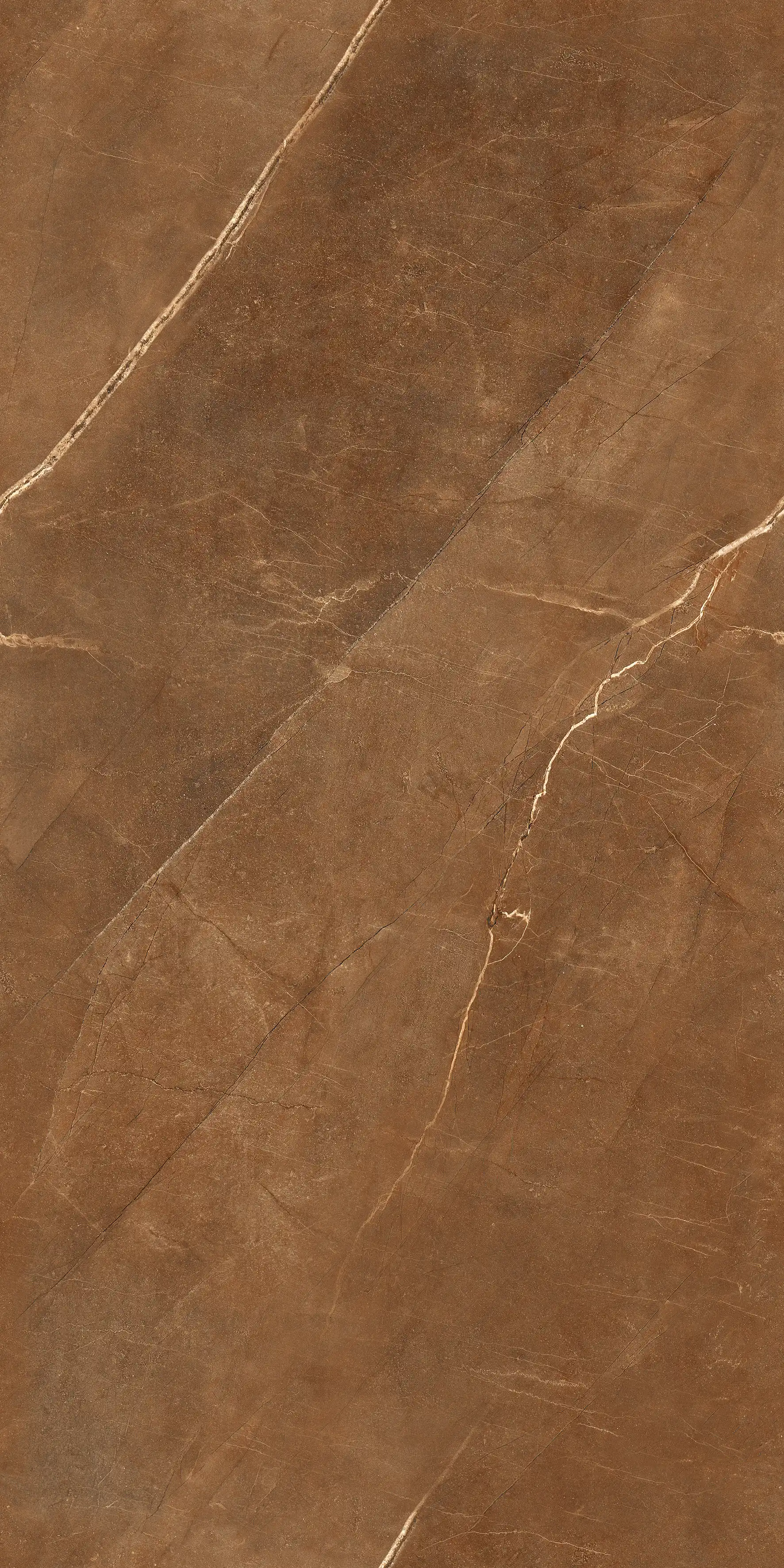 Omario Brown slab 60 X 120 CM 5