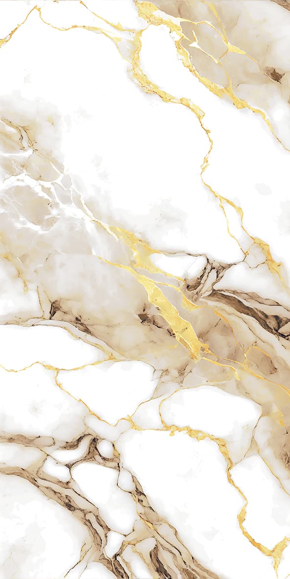 Cosmo Brown slab 60 X 120 CM 2