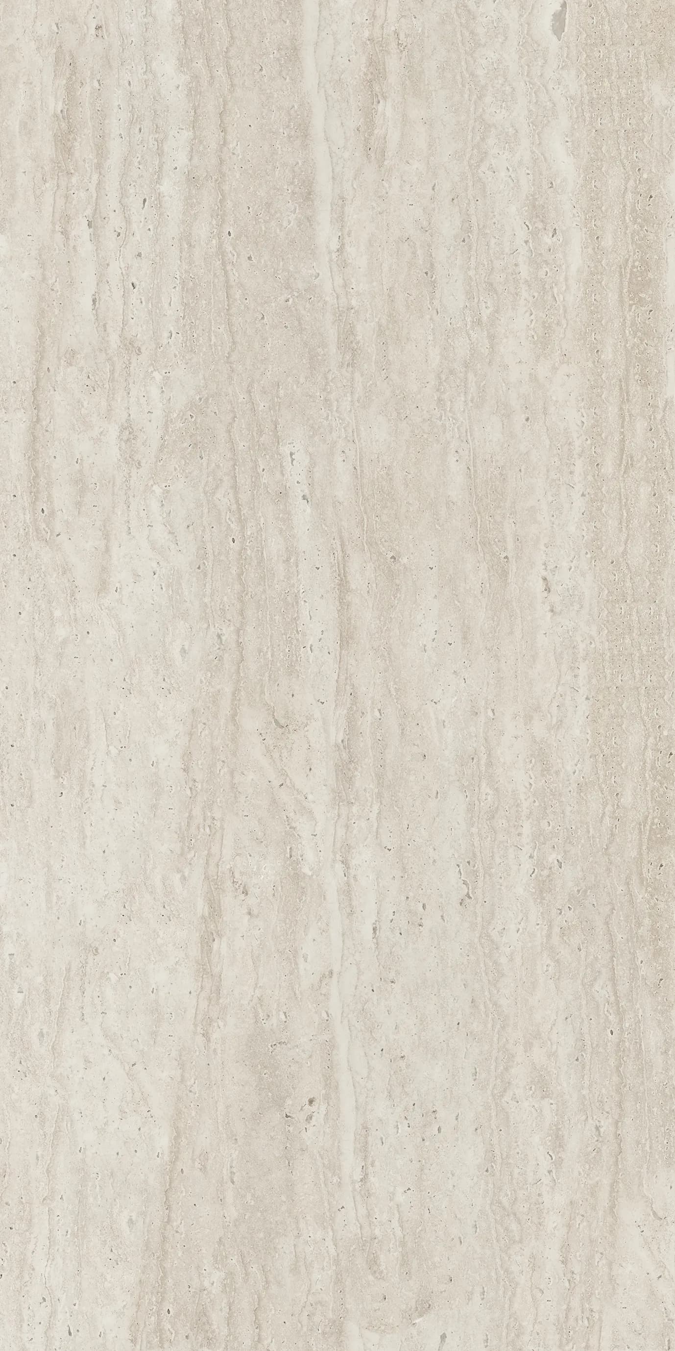 Judy Ivory slab 120 X 60 CM 3