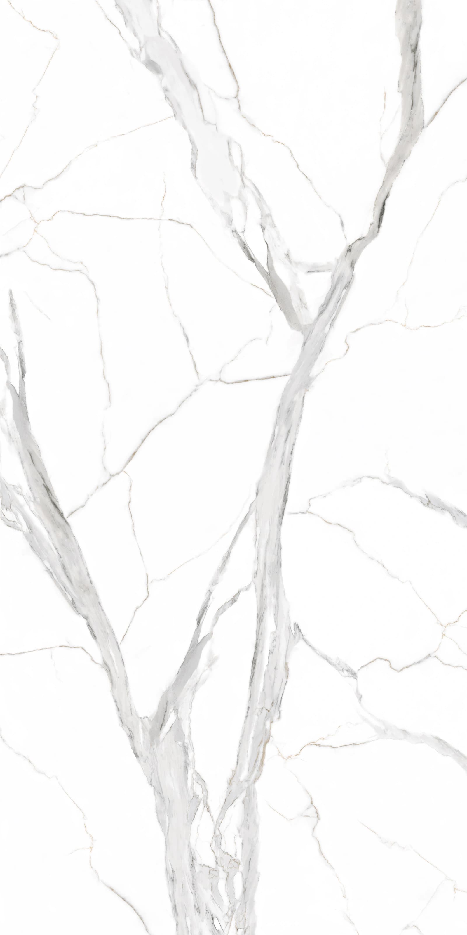 Rue Silver slab 160 X 320 CM 1