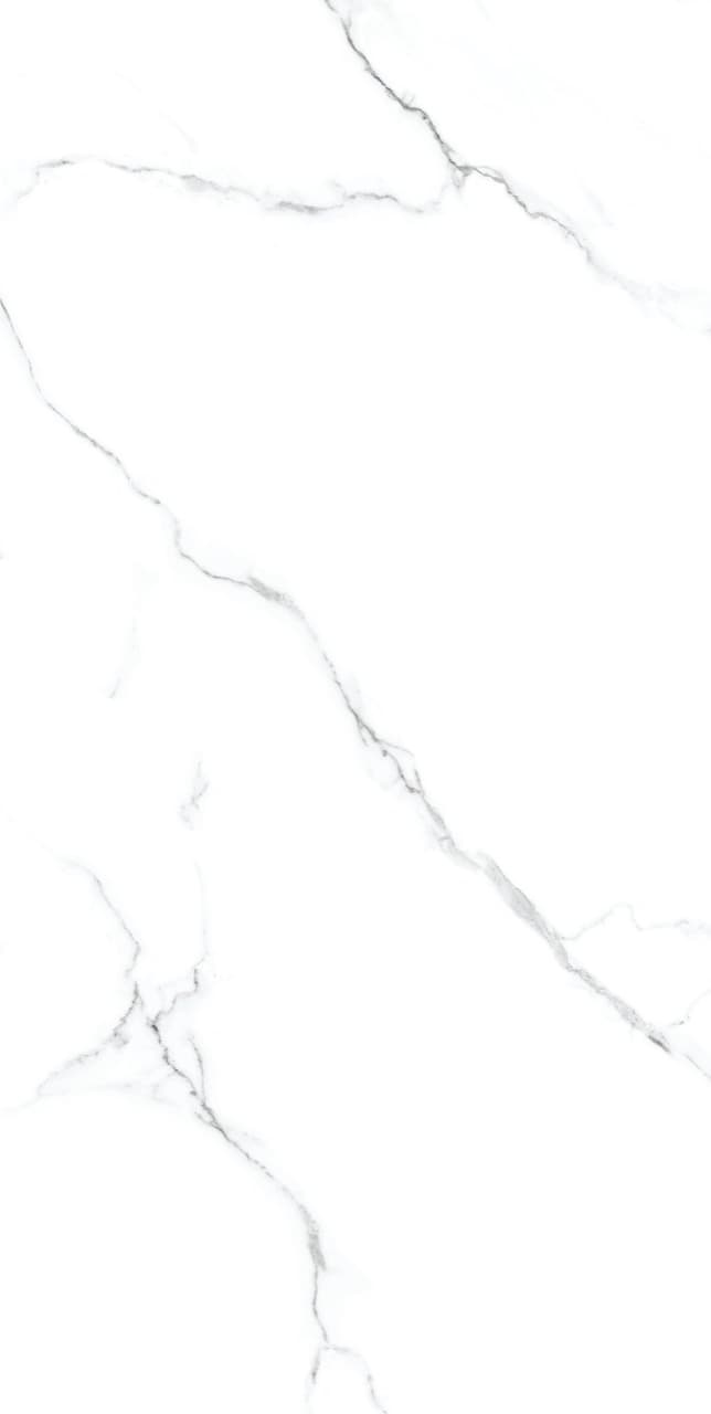 Calacatta Silver slab 60 X 120 CM 2