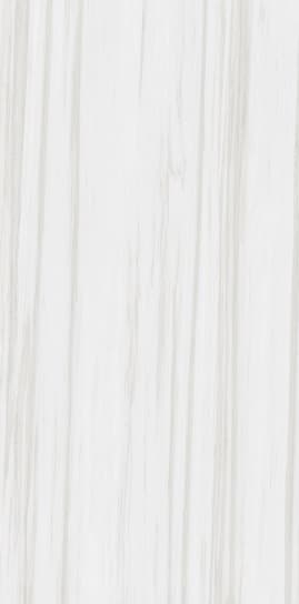 Bianco Andes slab 60 X 120 CM 3
