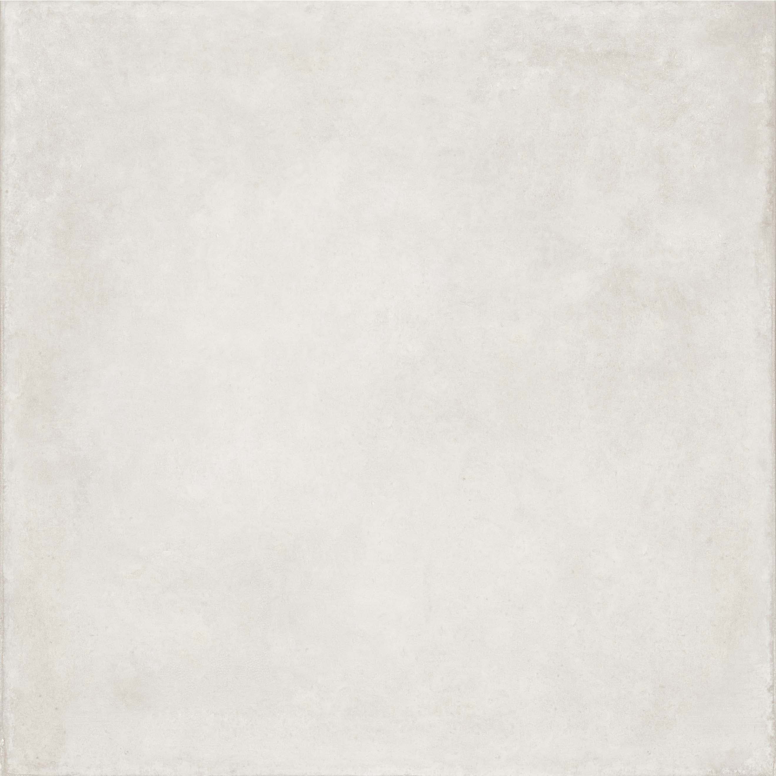 Frizo Bianco slab 60 X 60 CM 5