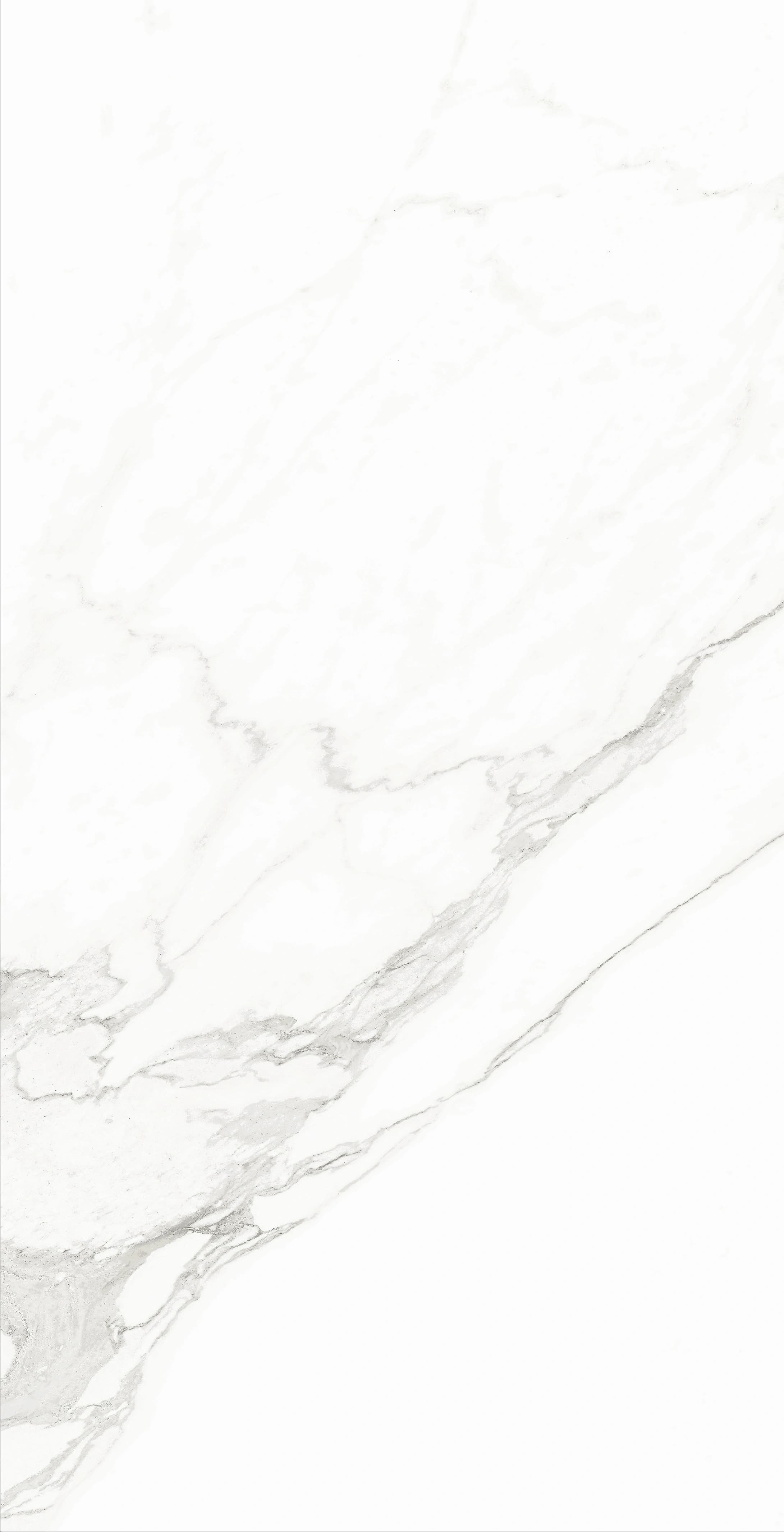 Classico Statuario slab 60 X 120 CM 3
