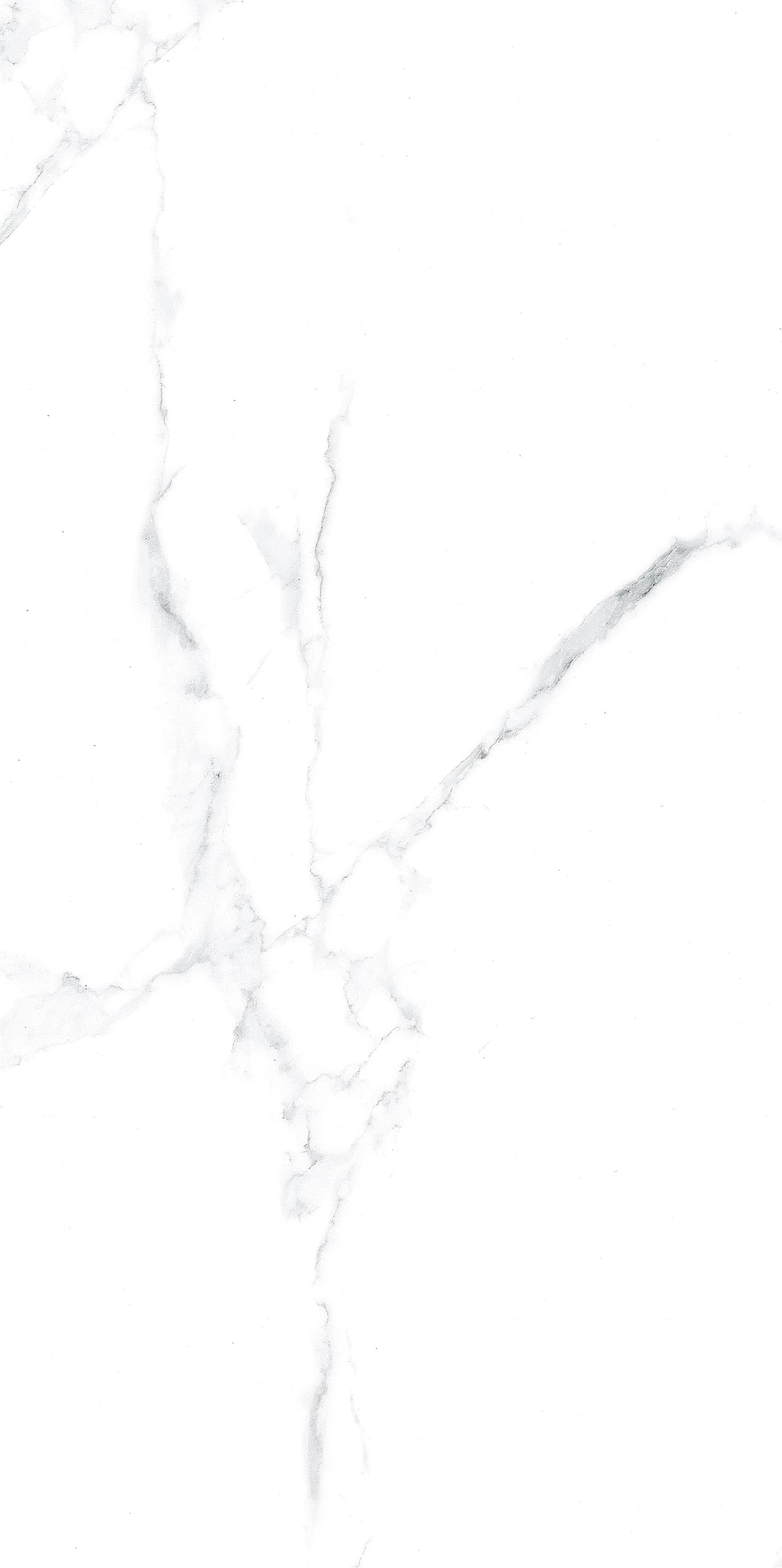 Vena Bianco - 9