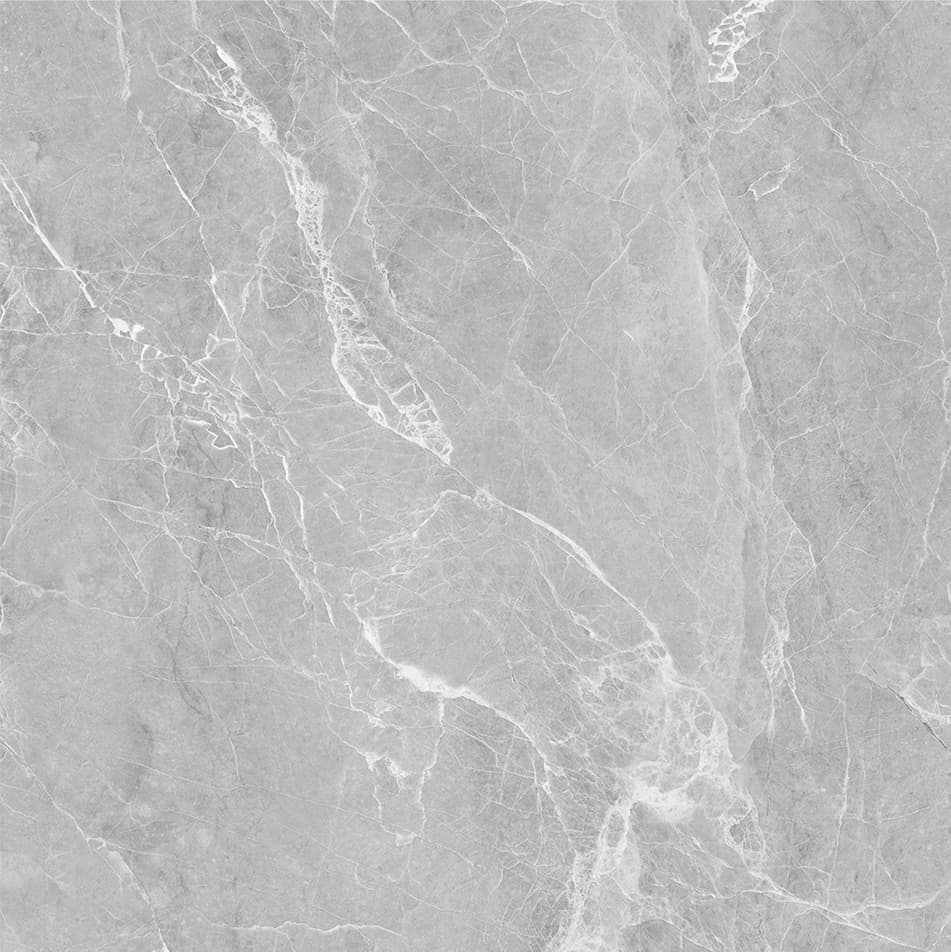 Regal Grey slab 60 X 60 CM 4