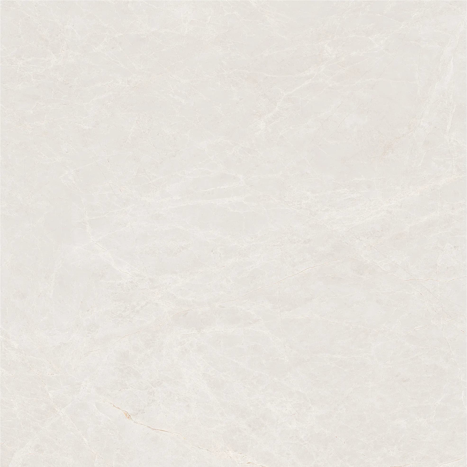 Emperador Beige slab 80 X 80 CM 5