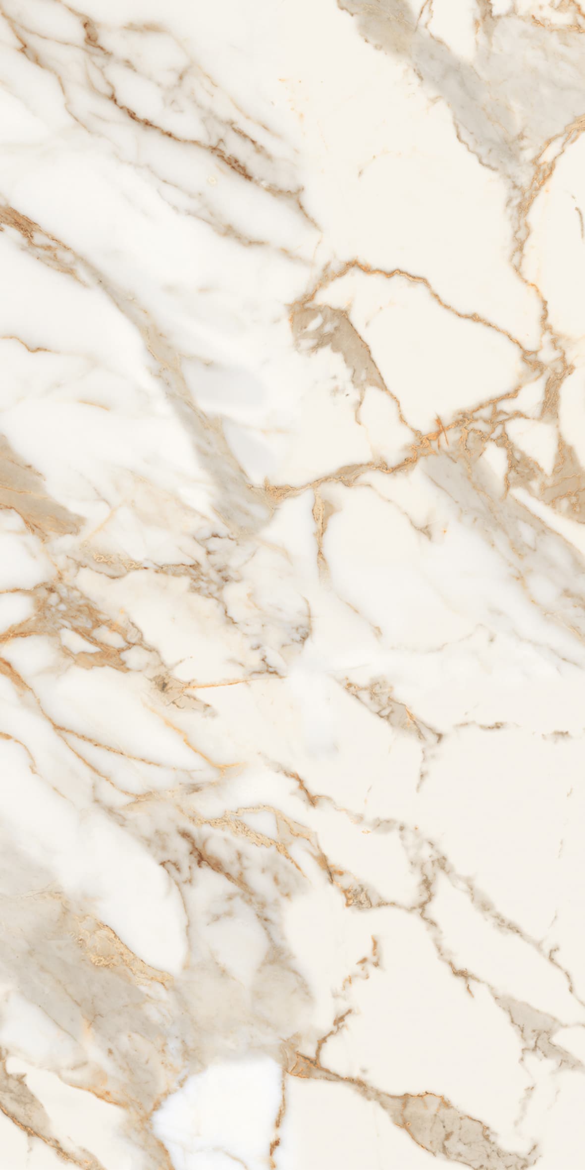 Alpine Gold slab 60 X 120 CM 5