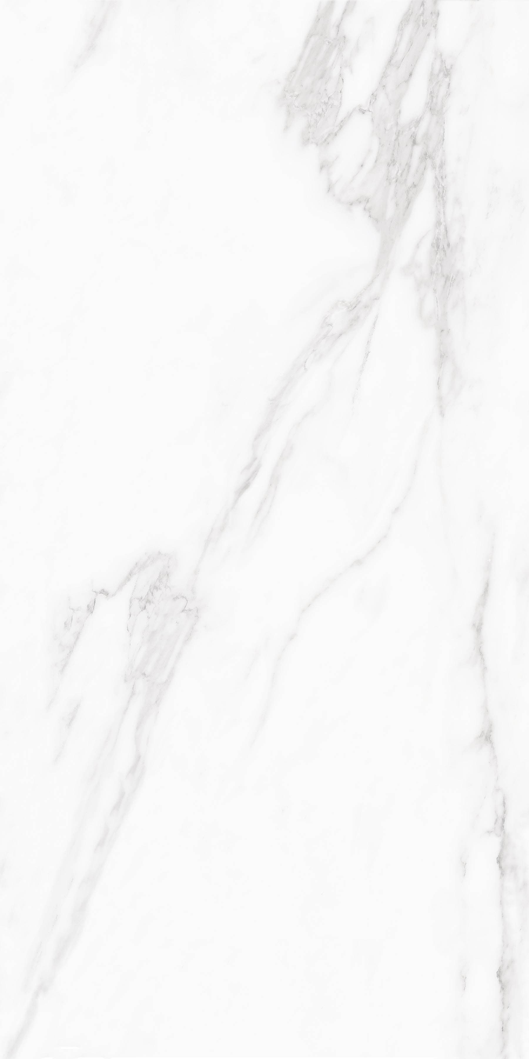 Arctic Statuario - 3
