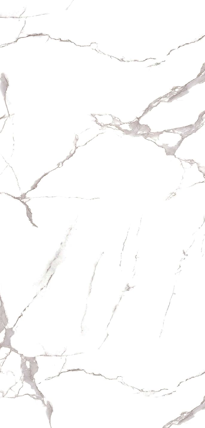 Statuario Grey slab 120 X 60 CM 1