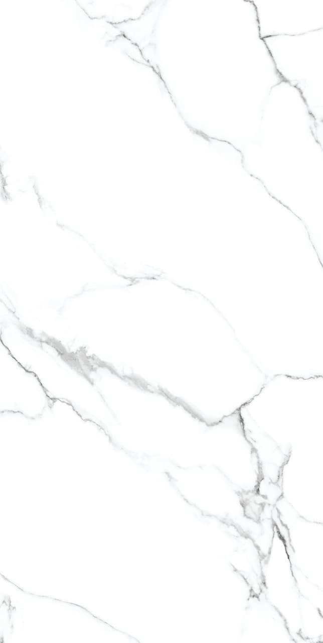 Calacatta Silver slab 60 X 120 CM 4