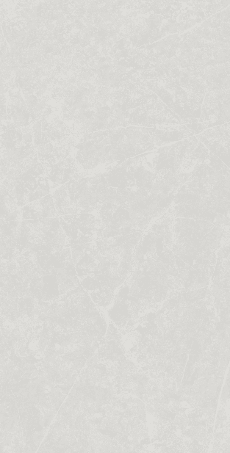 Anzio Light Grey slab 120 X 60 CM 2