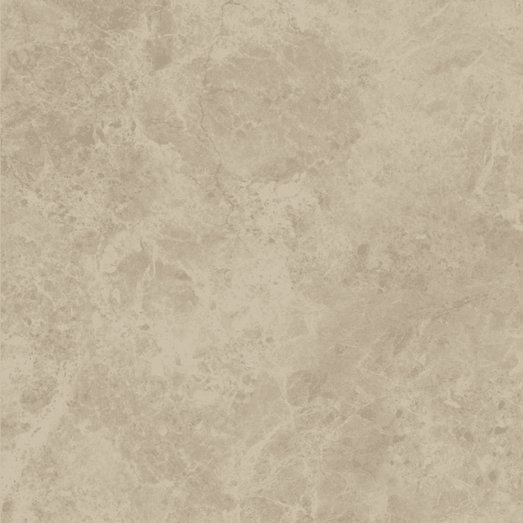 Terra Beige slab 60 X 60 CM 6
