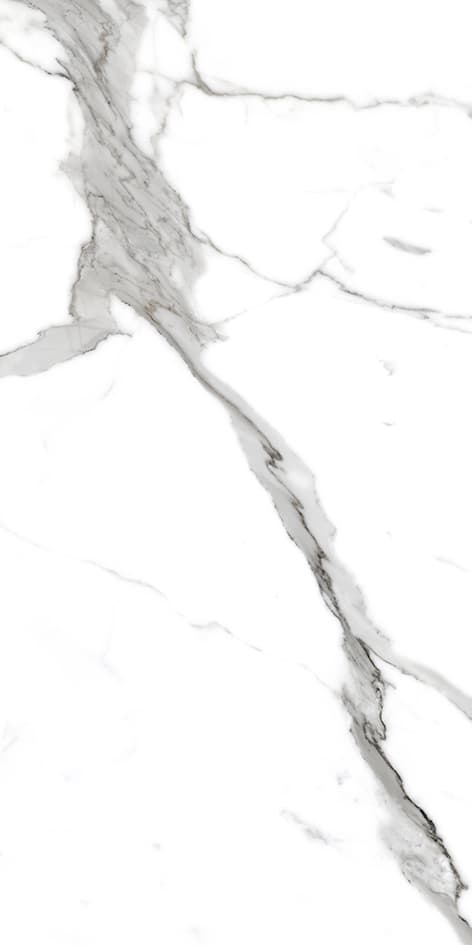 Savio Carrara slab 120 X 240 CM | 90 X 180 CM 1