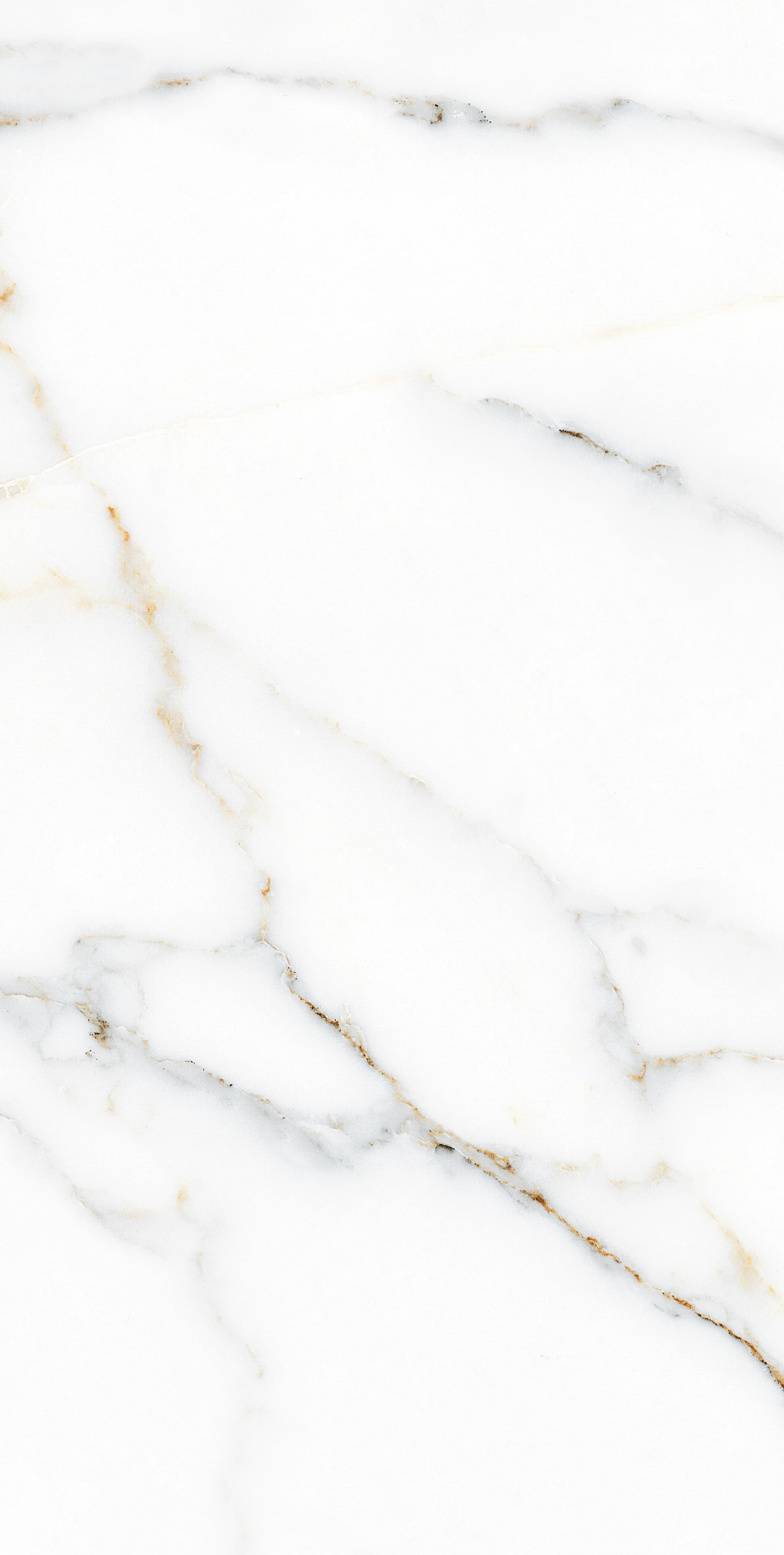VG Statuario Gold slab 30 X 60 CM 2