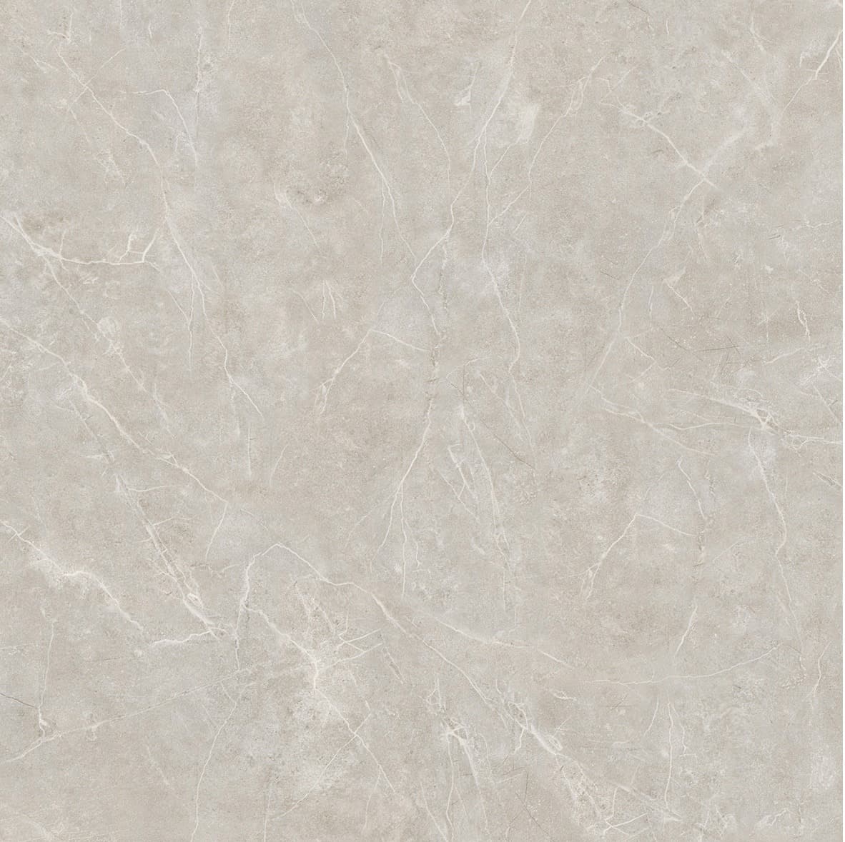 Antarch Light Grey slab 60 X 60 CM 3