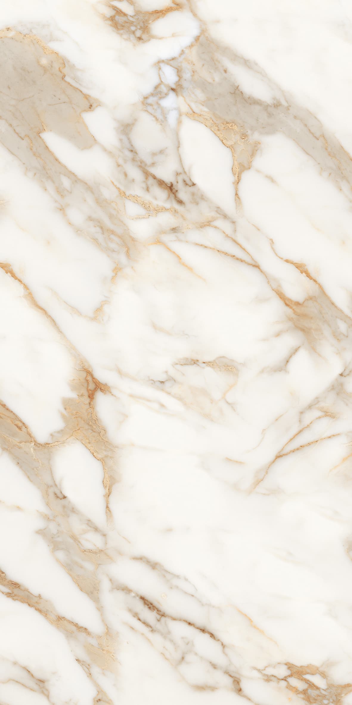 Alpine Gold slab 60 X 120 CM 4