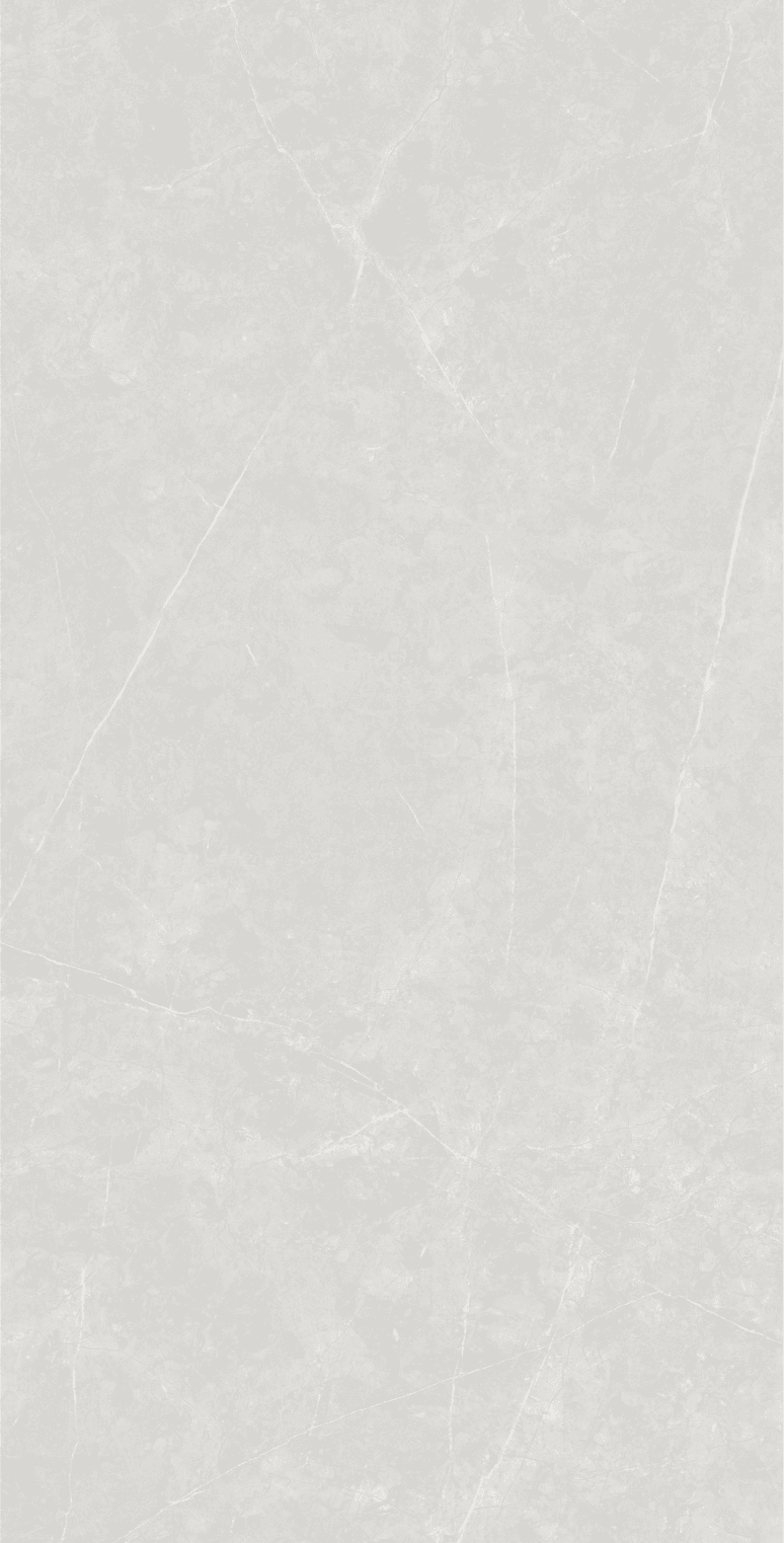Anzio Light Grey slab 120 X 60 CM 3