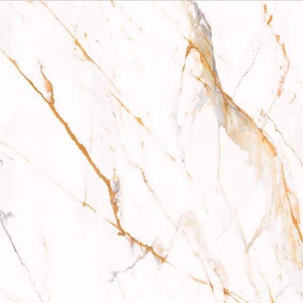 Scepter Gold slab 60 X 60 CM 4