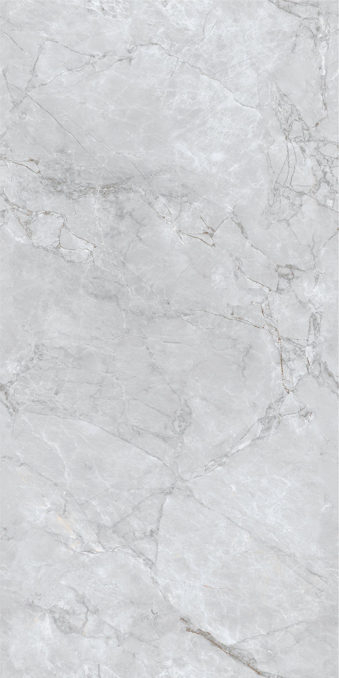 Gambia Light Grey slab 60 X 120 CM 3