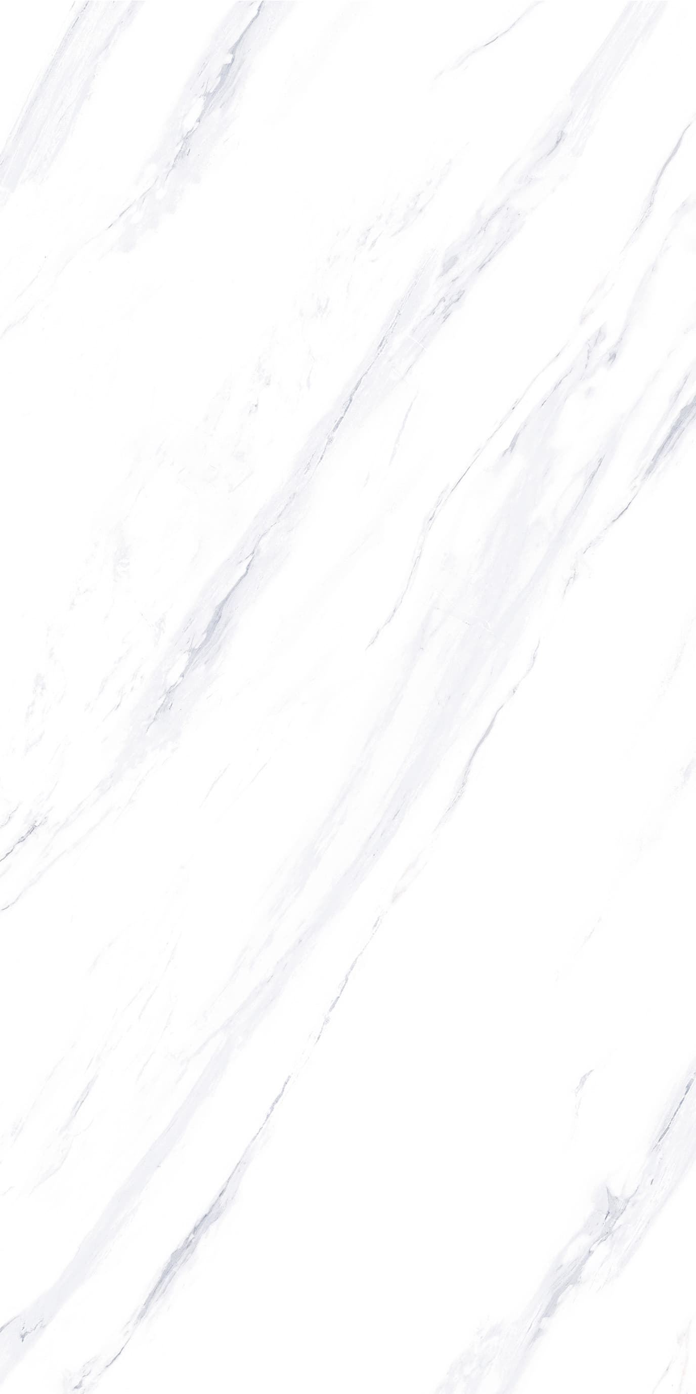 Bologna White slab 60 X 120 CM 4