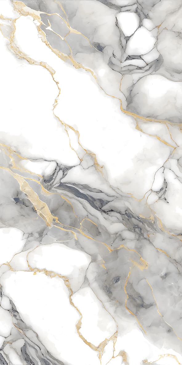Cosmo Bianco slab 60 X 120 CM 3