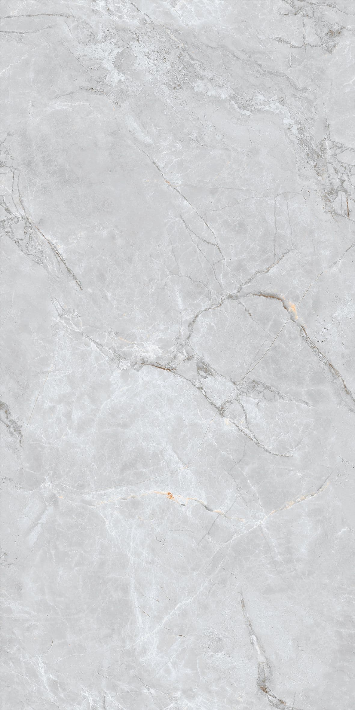 Gambia Light Grey slab 60 X 120 CM 2