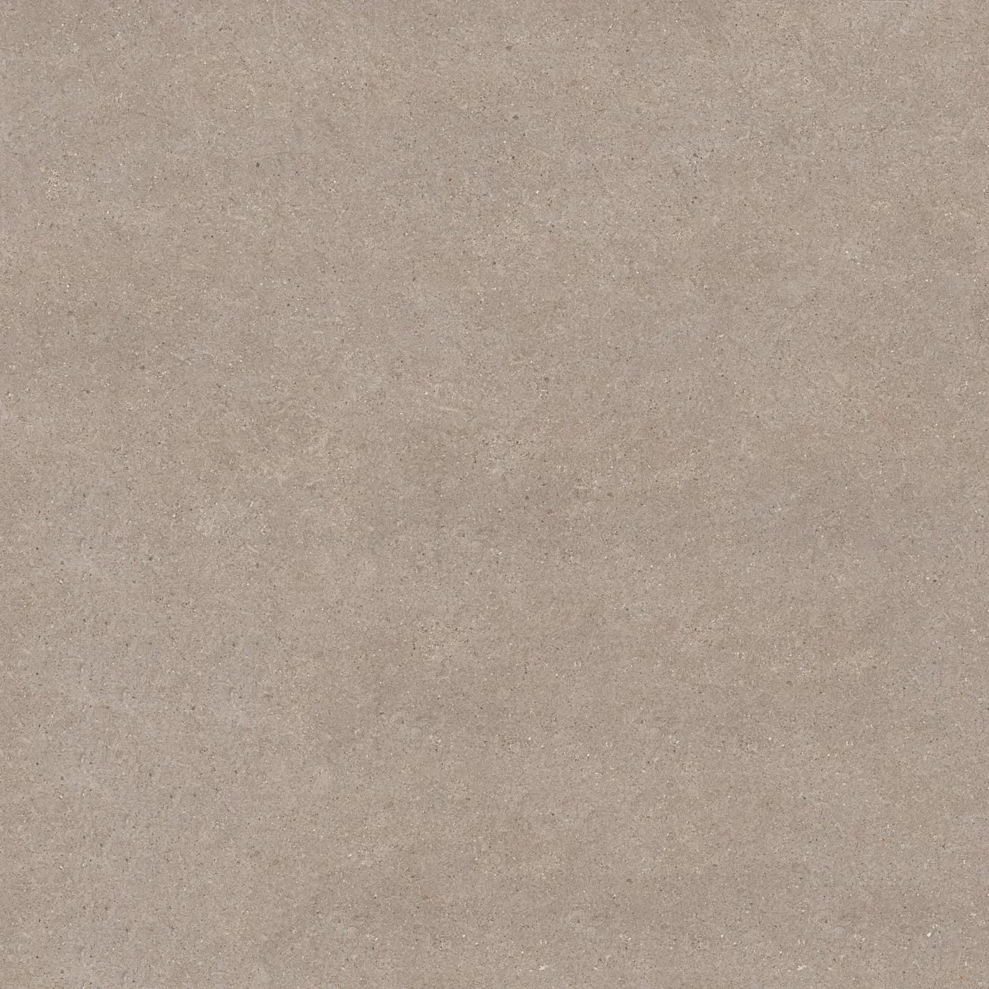 Lyra Dark Grey slab 60 X 60 CM 1
