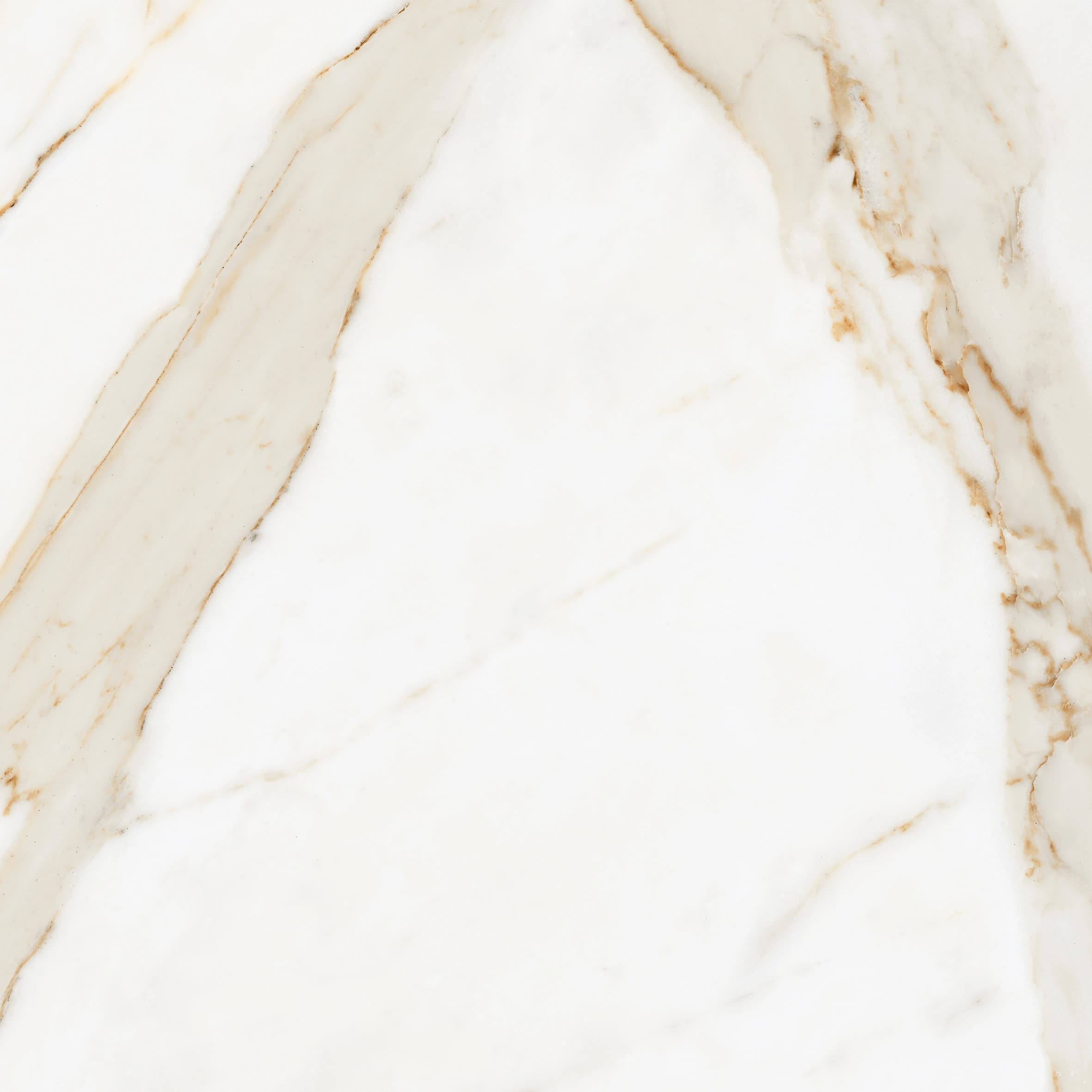 Calcutta Gold slab 60 X 60 CM 5
