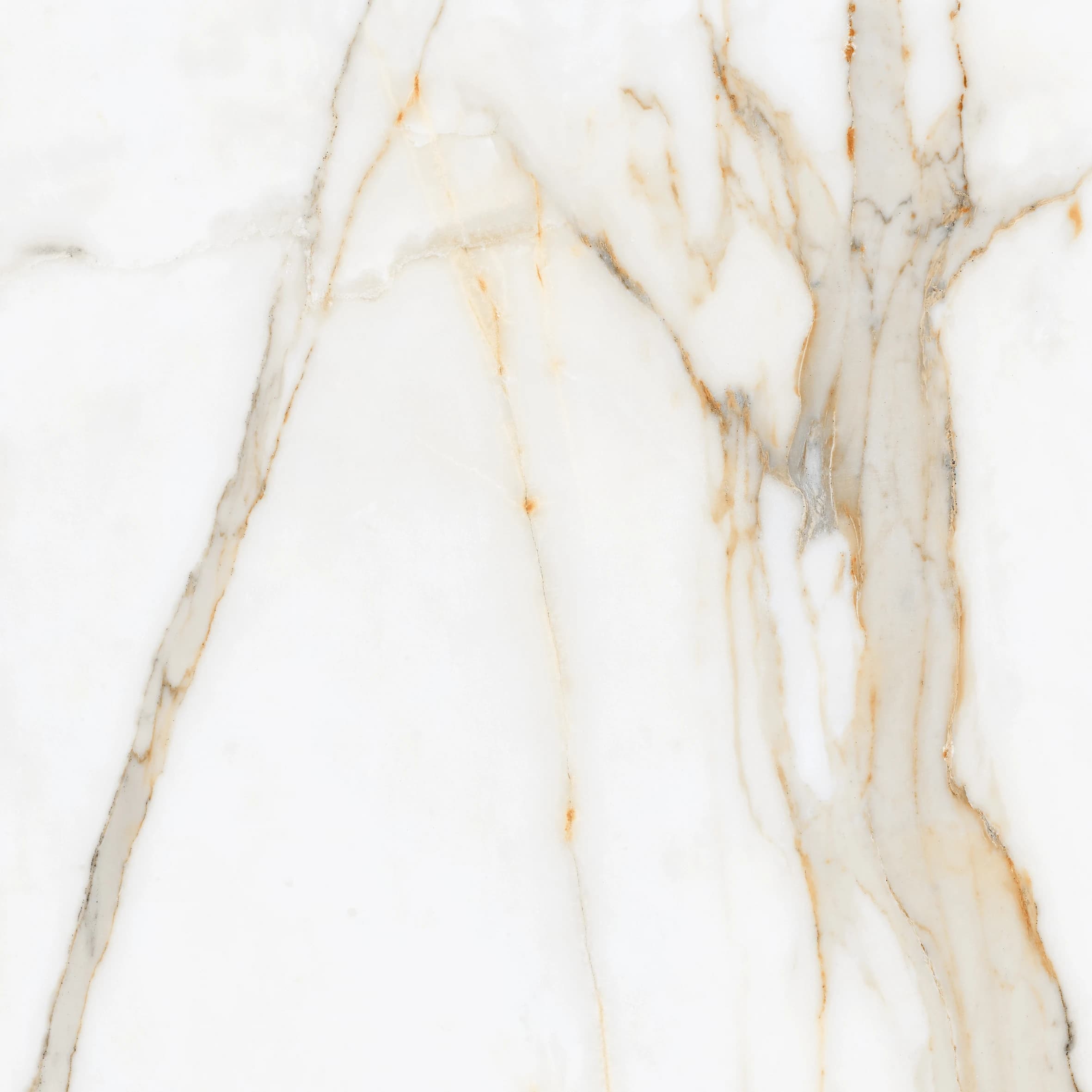 Calcutta Gold slab 60 X 60 CM 3