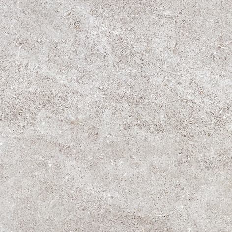 Robson Bianco slab 60 X 60 CM 5