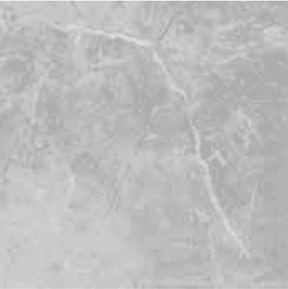 Luca Dark Grey slab 80 X 80 CM | 60 X 60 CM 6