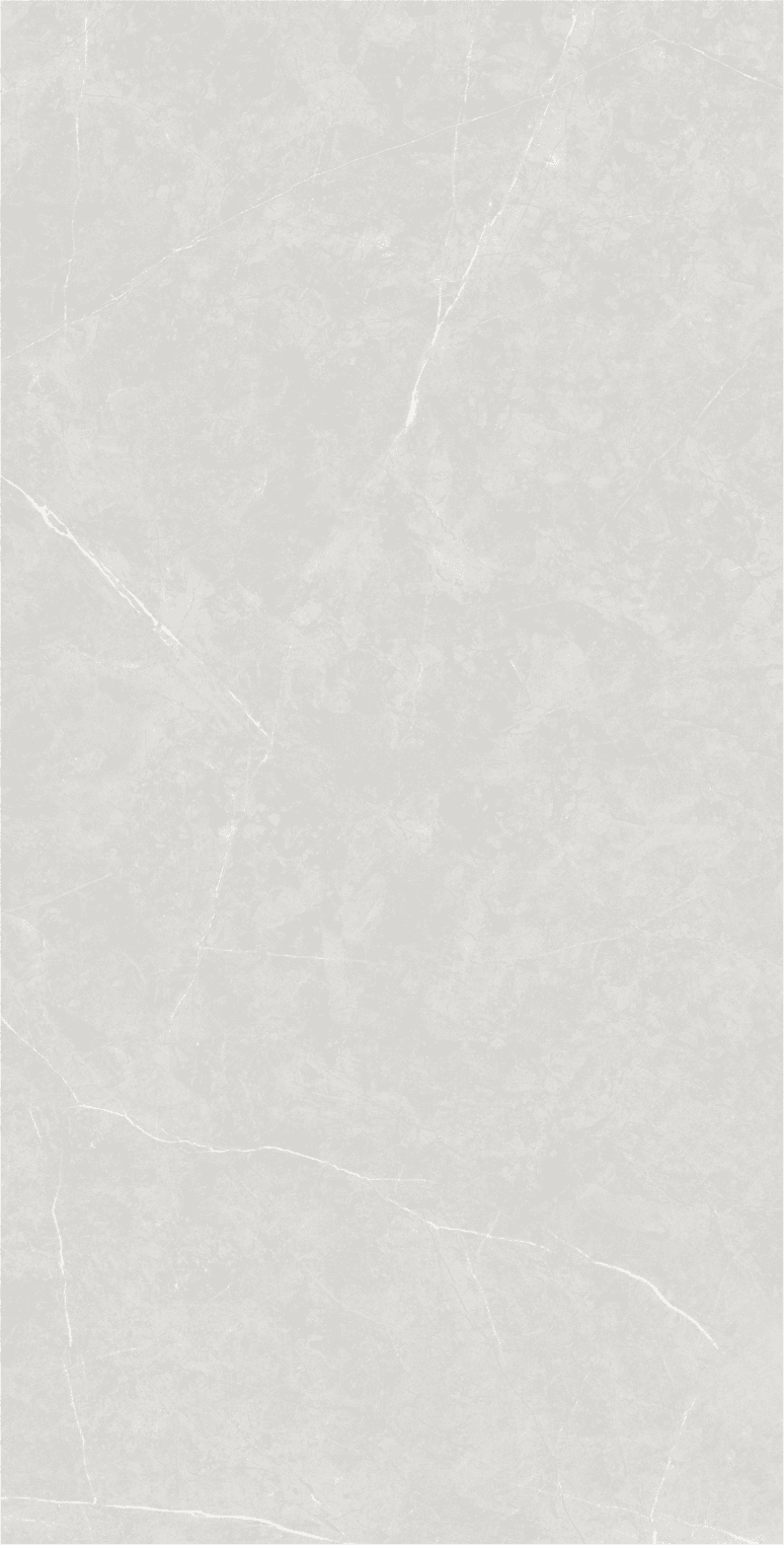 Anzio Light Grey slab 120 X 60 CM 4