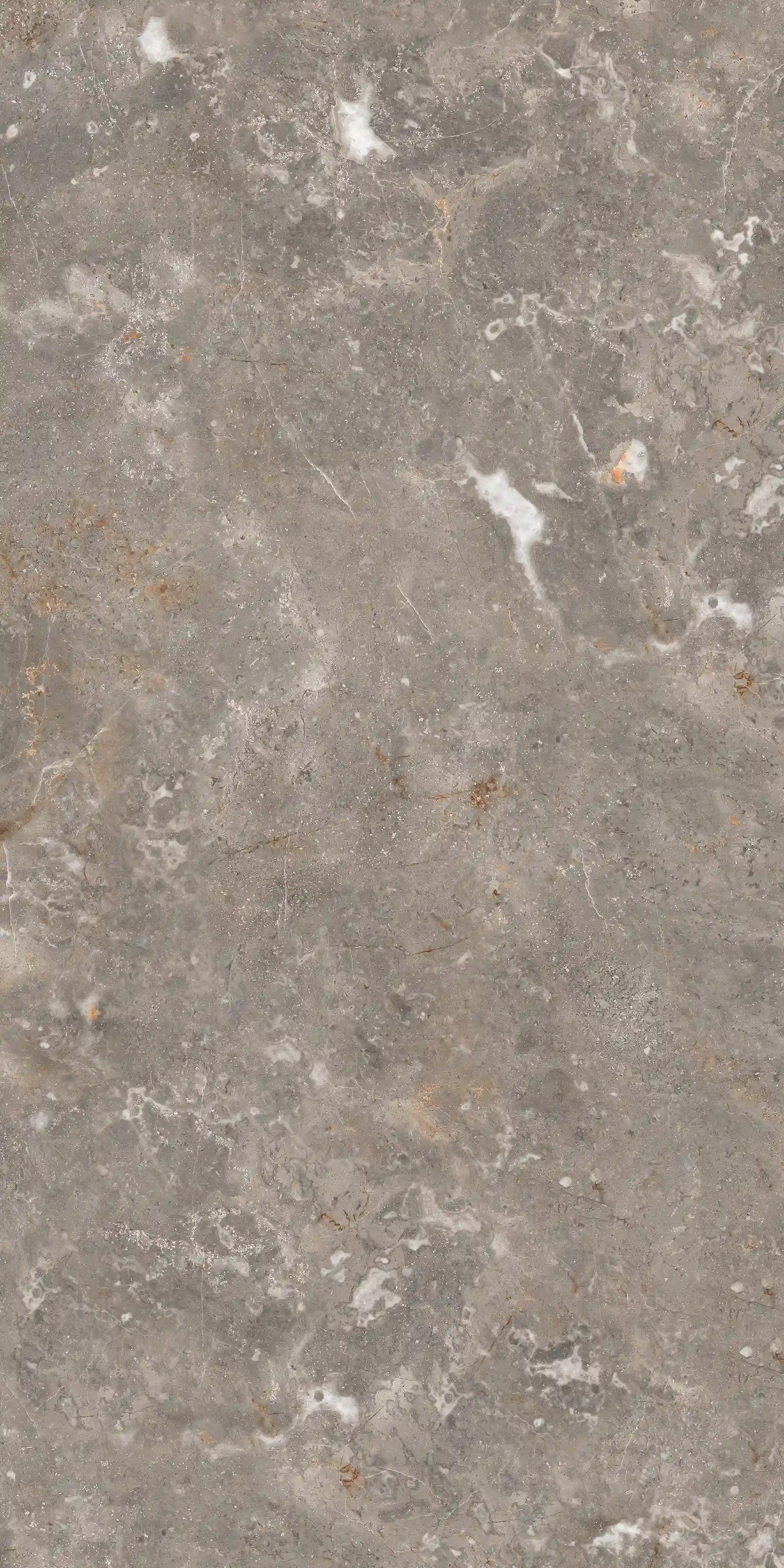 Aldo Grey slab 60 X 120 CM 8