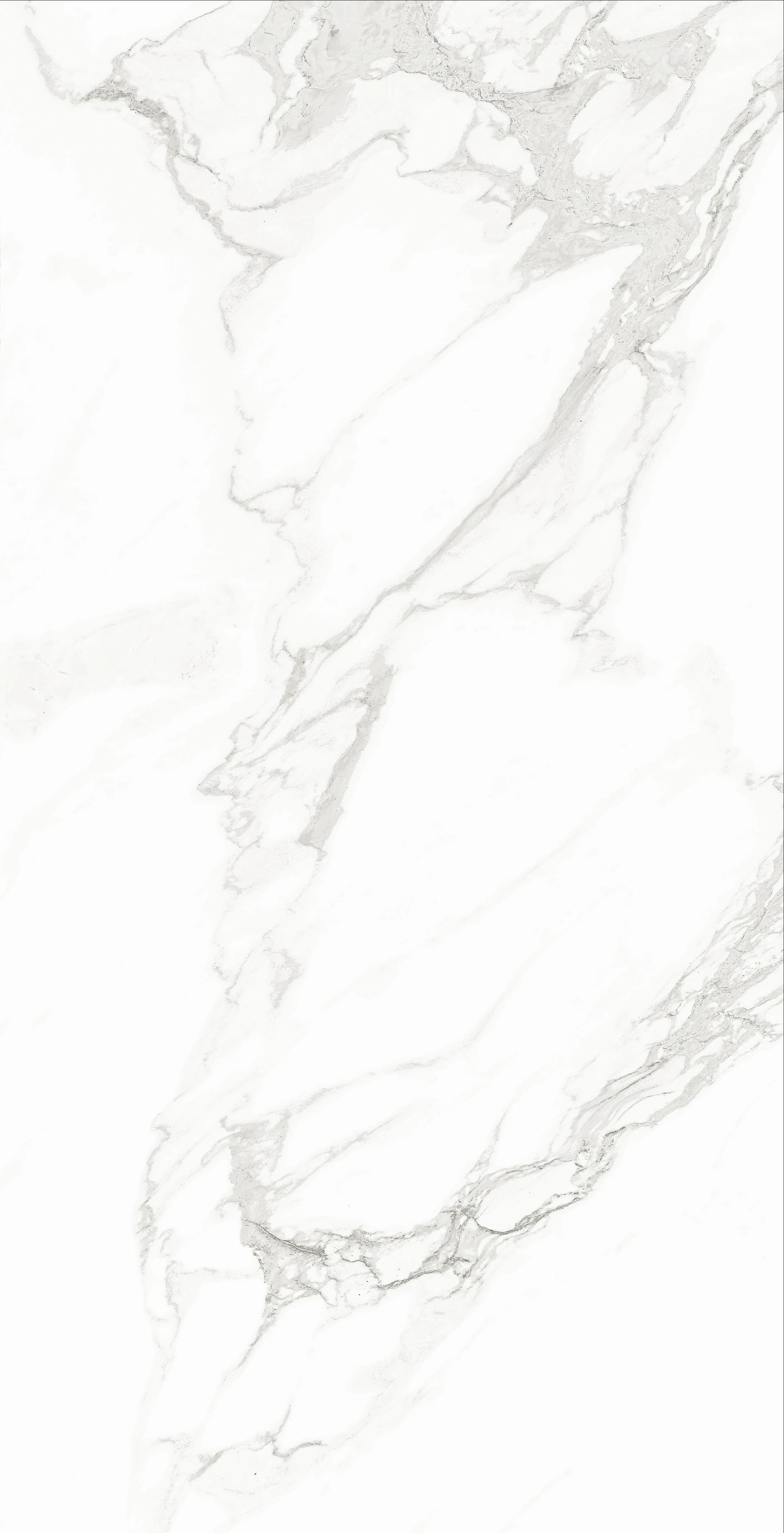 Classico Statuario slab 60 X 120 CM 6