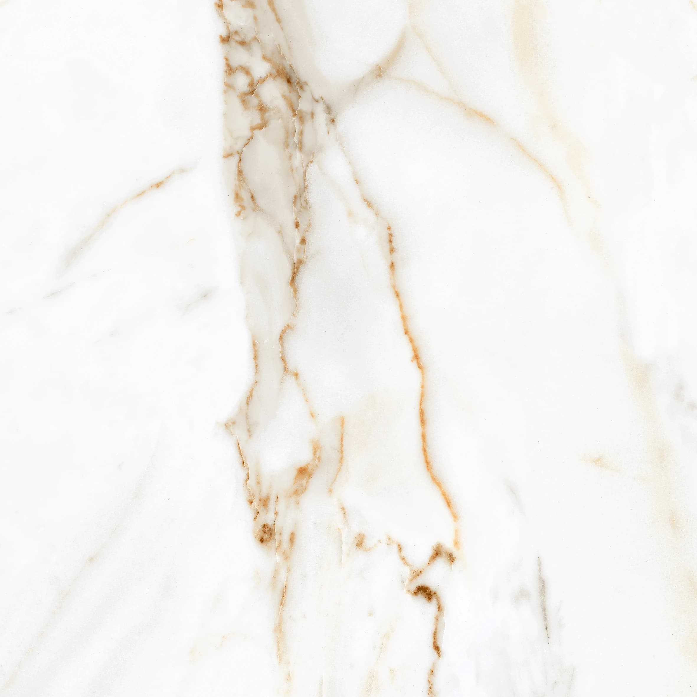 Calcutta Gold slab 60 X 60 CM 2