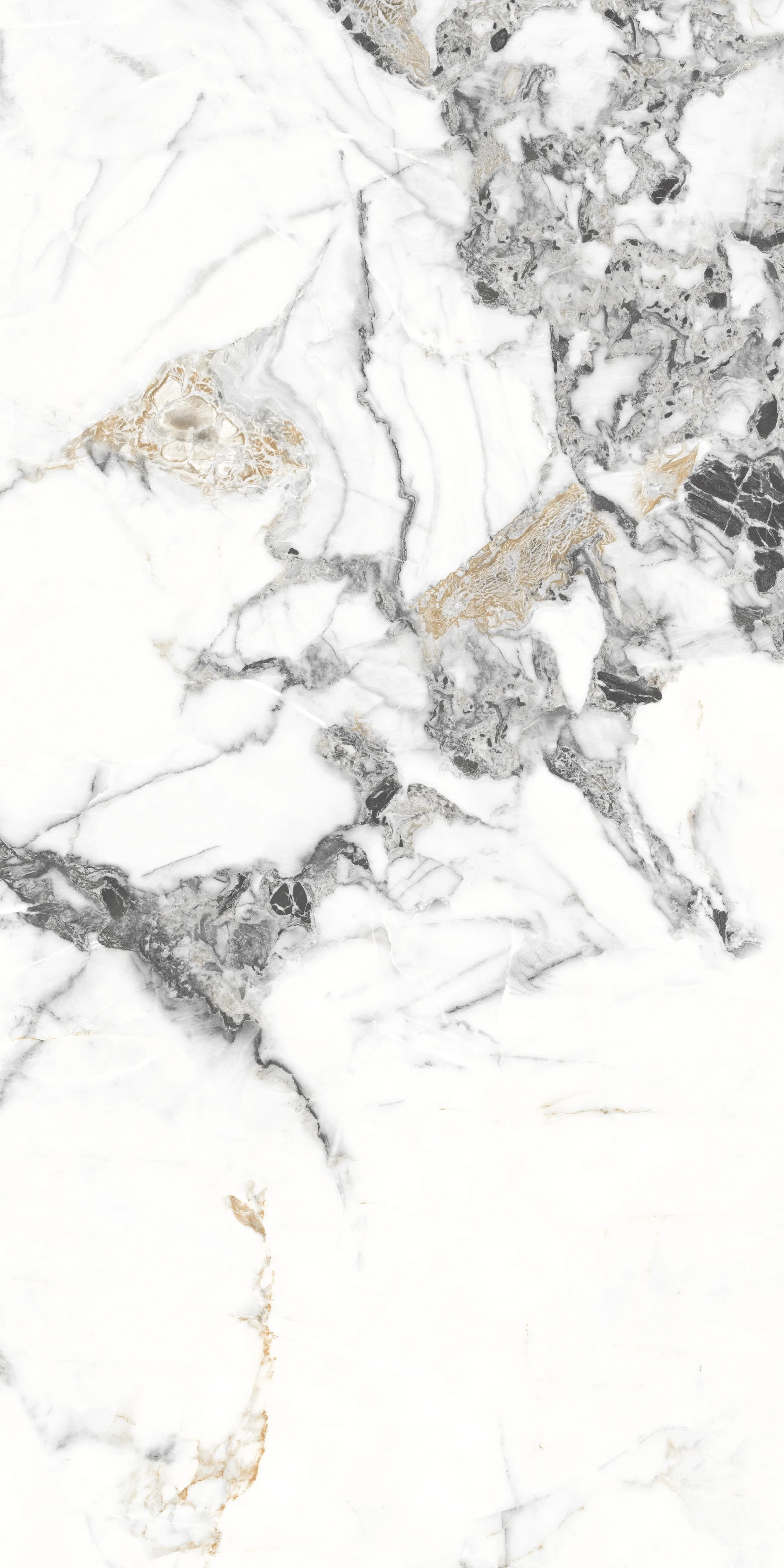 Tiziano Bianco slab 60 X 120 CM 3