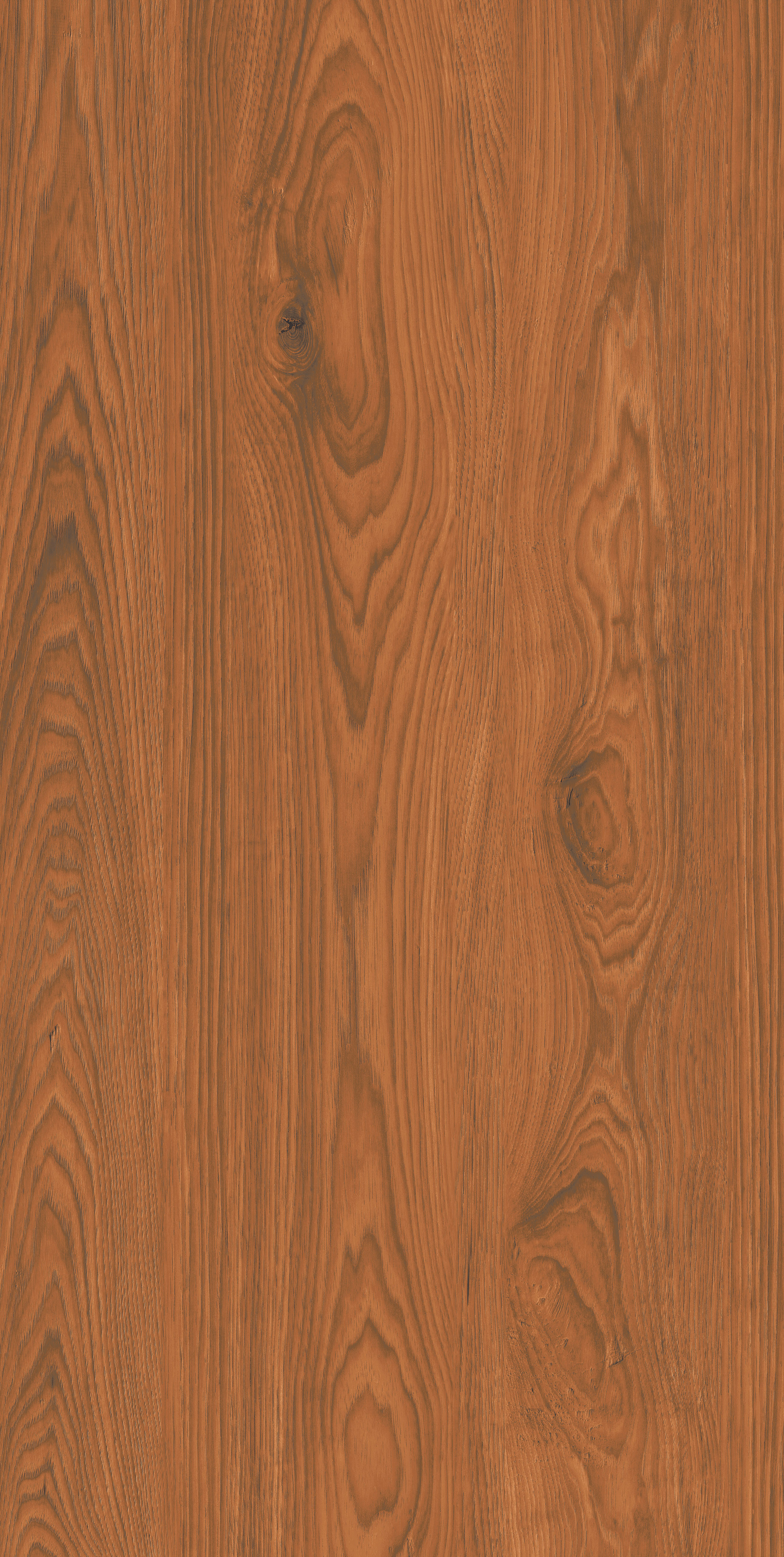 Segura Wood slab 60 X 120 CM 2