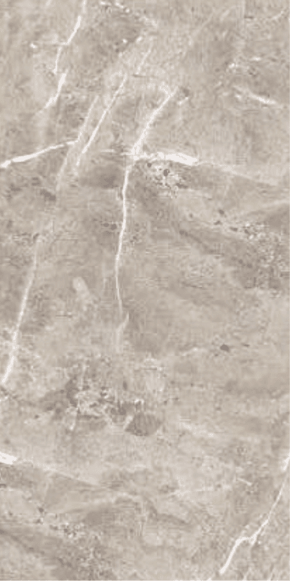 Ebony Dark Grey slab 60 X 120 CM 2