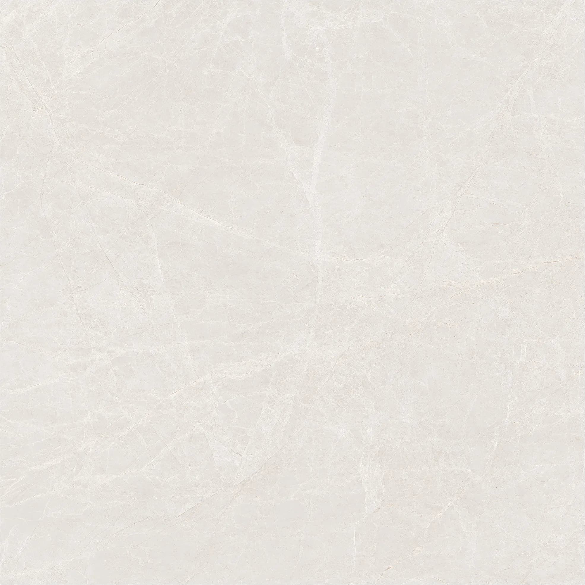 Emperador Beige slab 80 X 80 CM 4